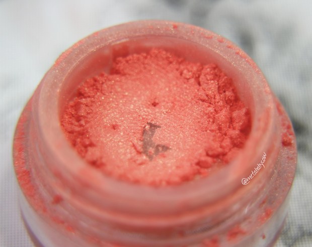 brija-cosmetics-blush-beware-of-plastics-jar